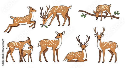 Illustrated collection of wild spotted deer characters in various natural poses, including stag, doe, and fawn
