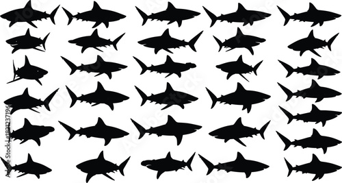 A dynamic, high-contrast collection of silhouetted shark outlines representing diverse species and swimming postures, ideal for marine biology, ocean conservation, wildlife vector design
