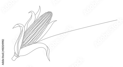 Minimalist single line drawing of a ripe ear of corn with husks and kernels on a white background