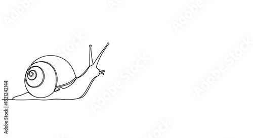 Minimalist single line drawing of a snail with its shell and antennae clearly defined on a white background