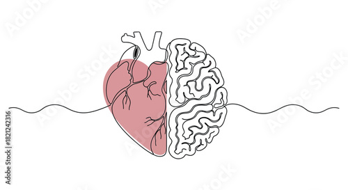 Conceptual illustration of the human heart and brain connected by a continuous line symbolizing their intertwined relationship