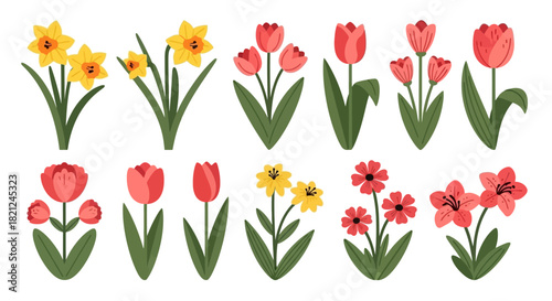 Collection of blooming spring flowers, including daffodils, tulips, and other vibrant floral arrangements