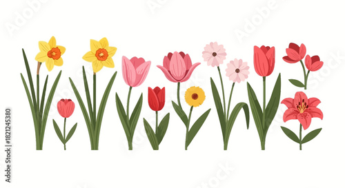 Vibrant collection of spring flowers illustration, featuring daffodils, tulips, and various colorful blooms, perfect for seasonal designs and natural themes