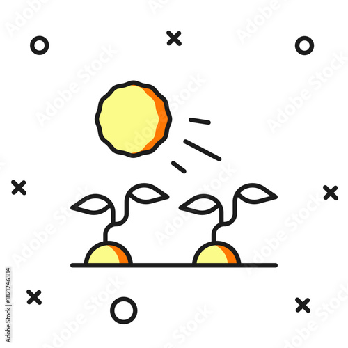 Filled outline Plant sprouts grow in the sun icon isolated on white background. Seedling concept. Flat filled outline style with shadow. Vector