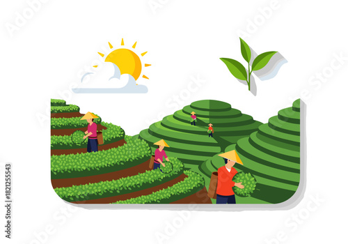 Exploring Tea Plantations With Workers Harvesting Leaves Amidst Lush Green Hills Under a Bright Sun. Vector without background