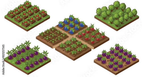 Isometric garden design with diverse vegetables and fruits