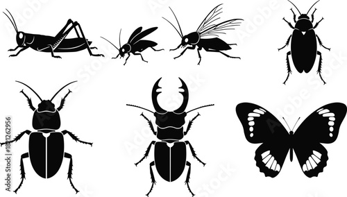 Insect silhouettes, black vector bugs, beetle, butterfly, fly, grasshopper, cricket, stag beetle, entomology icons, isolated, white background, clipart