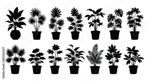 Collection of potted houseplant silhouettes set for interior decoration and botanical graphic design elements illustration. isolated on white background, Vector, illustration