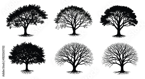 Set of six detailed tree silhouettes vector illustration. full canopy, sparse leaves, and bare winter branches graphics. isolated on white background, Vector, illustration