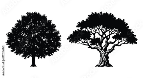 Collection of two detailed black tree silhouettes: one rounded forest foliage and one ancient gnarled vector graphic icon set. isolated on white background, Vector, illustration