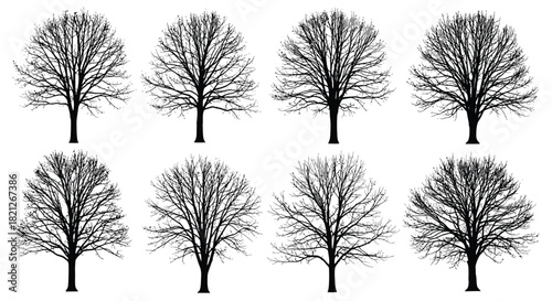 Seamless repeating pattern of multiple detailed black silhouettes of bare deciduous trees with intricate branches isolated on white background, Vector, illustration