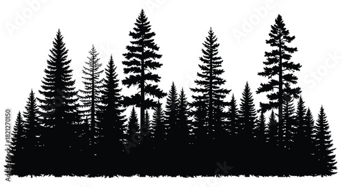 Coniferous forest silhouette vector illustration woodland border design element with dense fir and spruce trees isolated on white background, Vector, illustration