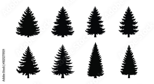 Eight vector silhouettes of various coniferous evergreen trees set collection isolated on white background. isolated on white background, Vector, illustration