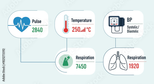Infographic displaying vital signs pulse, temperature, blood pressure, and respiration