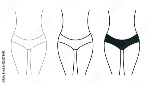 Adult female underwear coverage levels set with thong, bikini and brief, isolated on transparent vector