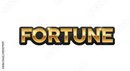 The word FORTUNE in a bold, shiny gold and black 3D text effect on a white background.