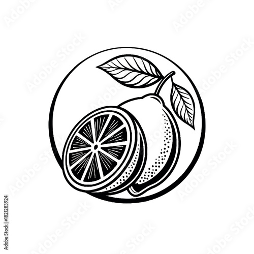  lemon silhouette logo vector line art logo design