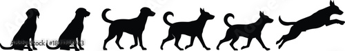 Dog motion silhouette set, sitting to leaping, black on white, movement progression, animal biomechanics, dynamic pose, pet activity icon