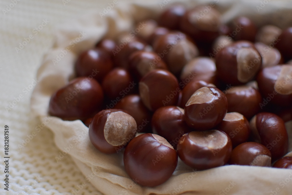 Obraz premium chestnuts on a table