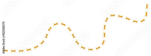 Illustration of a continuous, wavy ant trail or line of ants marching in a column