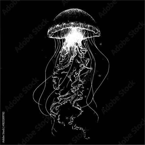 Detailed illustration of a jellyfish with long tentacles on a black background in monochrome style