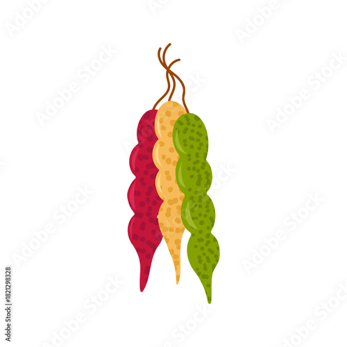 Vector illustration of Georgian churchkhela. Three types of fruit sweet candy. Delicious traditional walnut candy on strings. Colorful vector illustration.