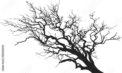 Bare tree hand drawn sketch with gnarled trunk and leafless branches. Vector illustration