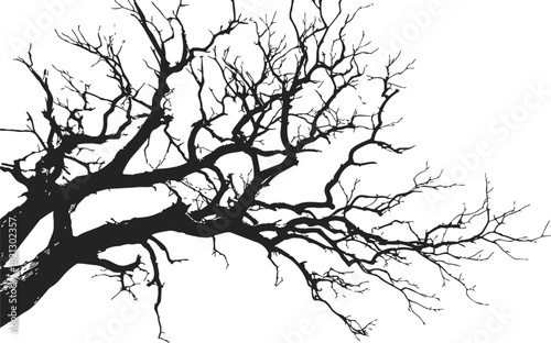 Bare tree, hand drawn sketch with leafless branches spreading horizontally. Vector illustration