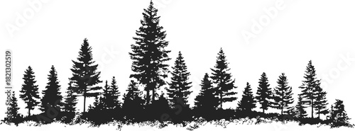 Pine tree silhouettes sketch, hand drawn conifer forest border with textured ground. Vector illustration