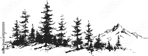 Pine trees sketch hand drawn forest landscape with mountain background. Vector illustration