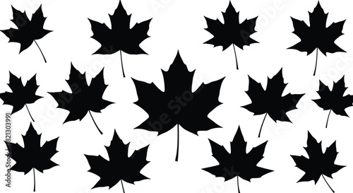 Maple leaf silhouette set, black foliage icons, autumn botanical shapes, Canadian symbol, isolated leaves, vector illustration, nature design elements