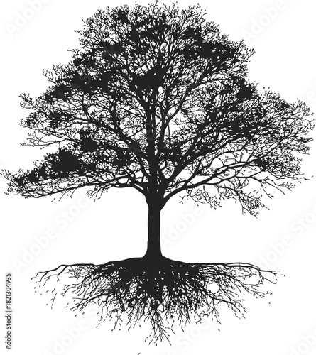 Tree silhouette sketch hand drawn with detailed branches and roots. Vector illustration