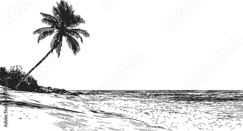 Palm tree sketch, hand drawn line art tropical beach with ocean and sand. Vector illustration