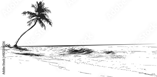 Palm tree sketch hand drawn on tropical beach with gentle ocean waves. Vector illustration