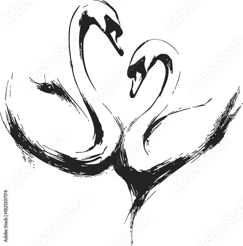 Swans hand drawn sketch, two elegant birds forming heart shape. Vector illustration