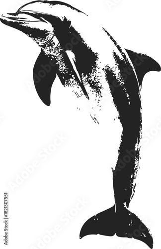 Dolphin sketch hand drawn style, detailed black and white marine animal. Vector illustration