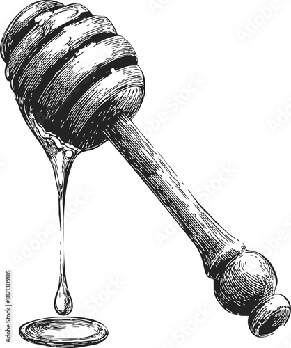 Honey dipper, hand drawn sketch with dripping honey, wooden handle. Vector illustration