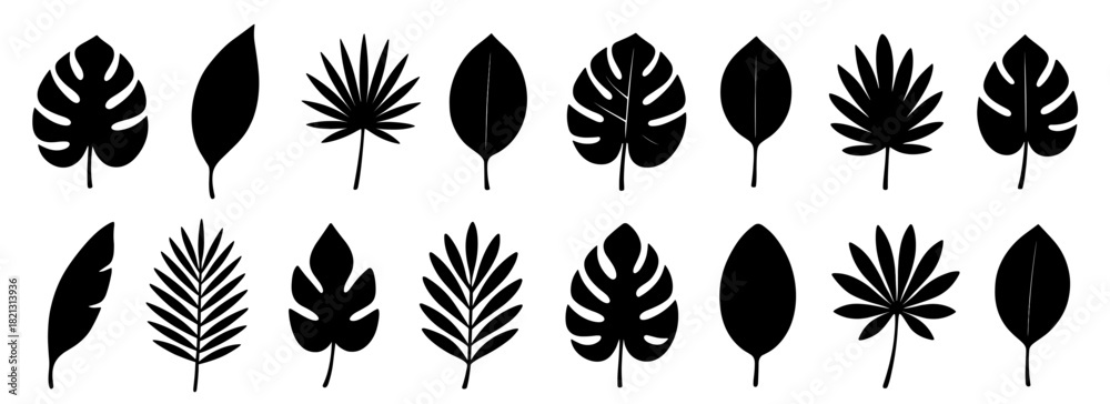 Naklejka premium Leaf silhouette collection. Shapes created with high quality. Various tropical and garden leaves shown in clean natural forms