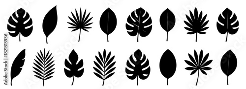Leaf silhouette collection. Shapes created with high quality. Various tropical and garden leaves shown in clean natural forms