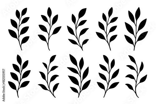 Branch silhouette set. Shapes created with high quality. Delicate leafy stems shown in light natural forms with simple flowing structure