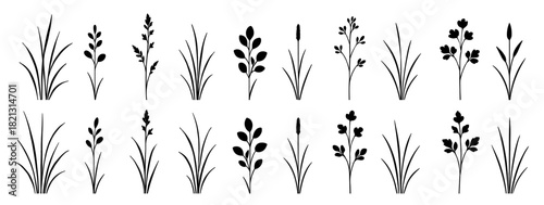 Grass silhouette set. Shapes created with high quality. Tall natural blades and reed stems appear in light elegant forms