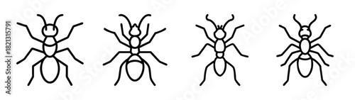 Four ant illustrations vector drawing image of various ant species for educational purposes