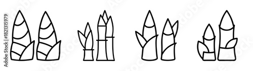 Bamboo shoots vector illustration, outline drawing of bamboo sprouts, asian cuisine ingredient, plant art