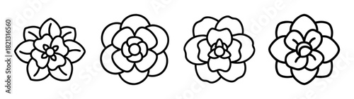 Floral design elements flower vector line art drawing botanical illustration garden plant set of four