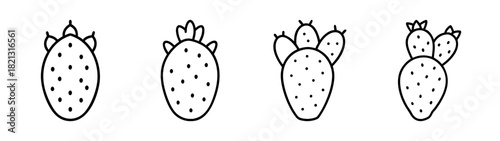 Hand drawn cactus plant illustration, succulent cacti drawing, botanical line art design element