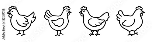 Chicken illustration vector drawing of cute farm animals poultry birds livestock fowl hens roosters