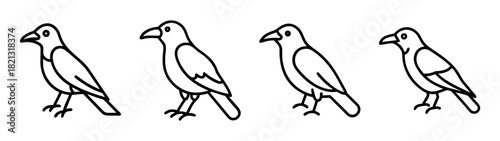 Black and white line art drawing of crows ravens birds standing vector illustration design image