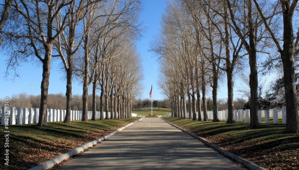 Obraz premium A long road framed by trees and tombstones leads to a flag under a blue sky