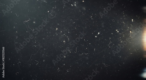 Microscopic View of Dust Particles and Fibers in Dark Environment with Light Flare