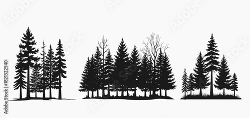 Bundle Forest Pine Illustration Bundle Featuring Evergreen Trees, Scenic Nature Backgrounds, Woodland Silhouettes and Wilderness Vector Landscapes.